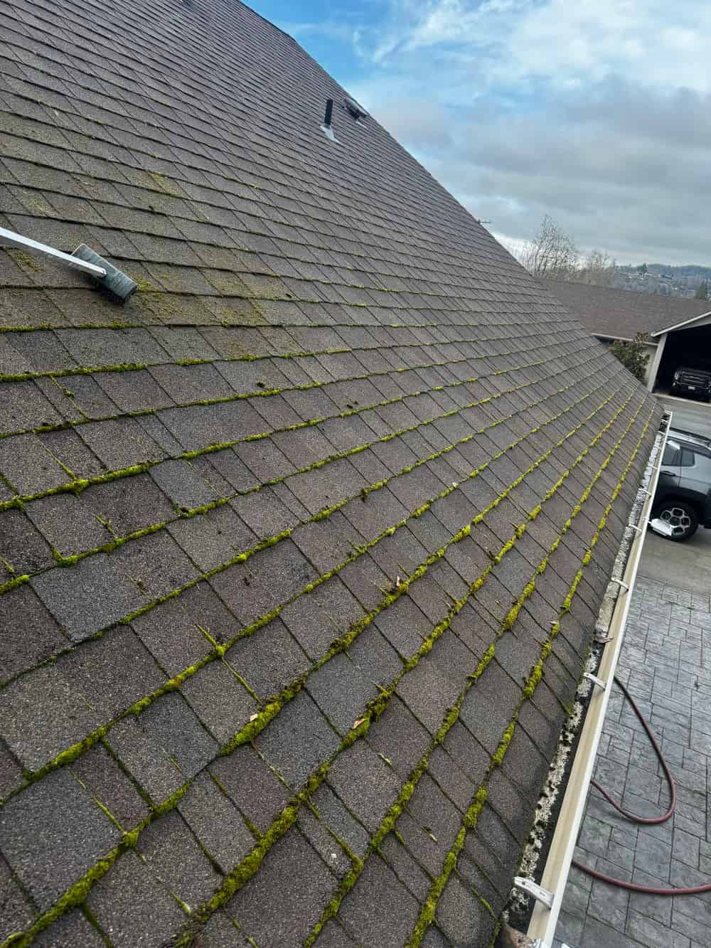 Moss Removal image
