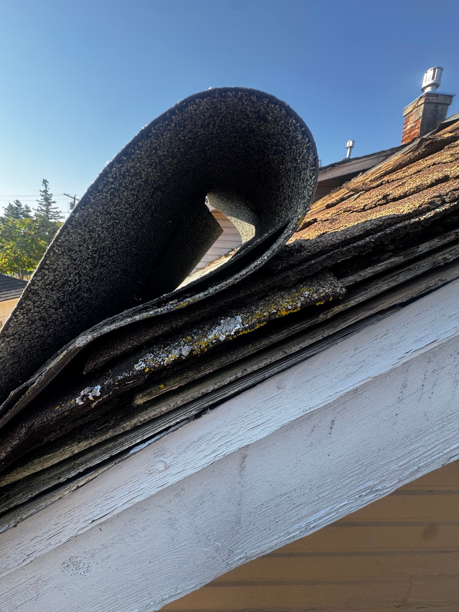 Out performing another roof inspection today! image