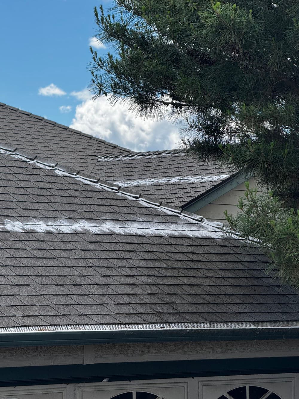 Roof Moss Removal Done Right in Medford